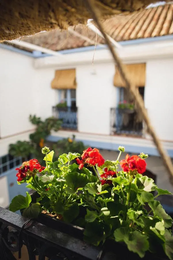 Casa Sirfantas Apartment Cordoba Spain